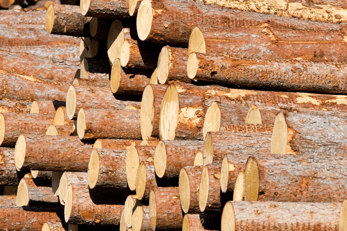 Texas Timber Rights
