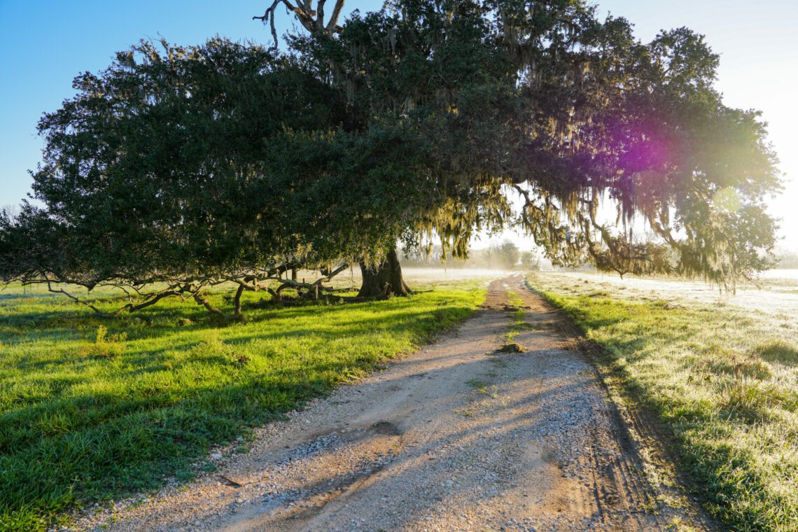 Selling Land in Texas in 2023 - Your Comprehensive Guide