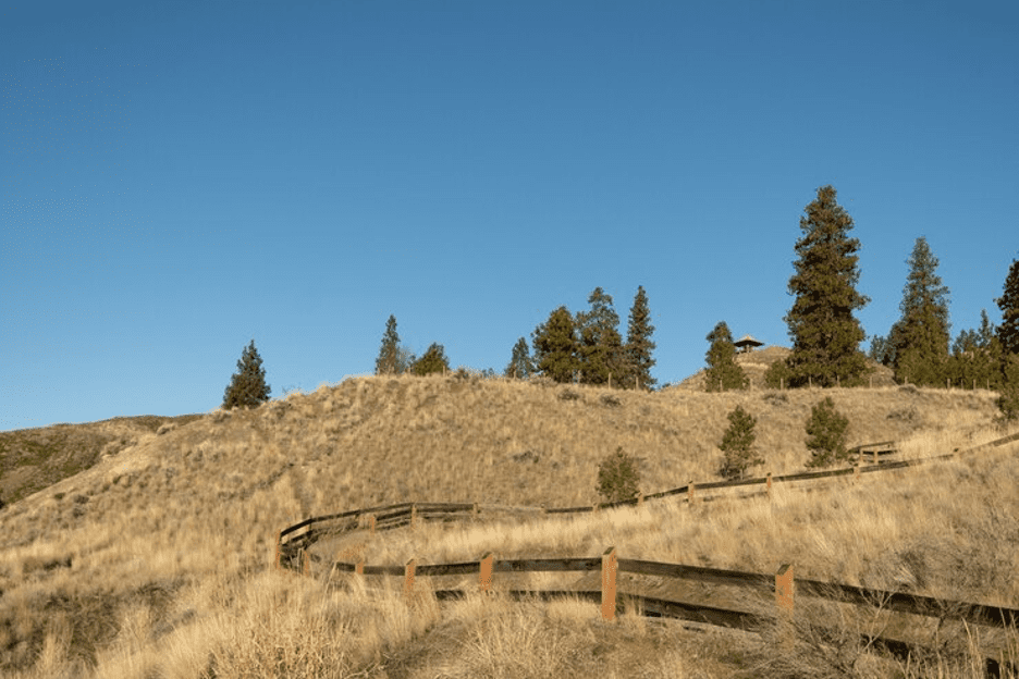 Selling Your Farm, Ranch, or Commercial Listing in Texas